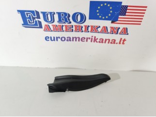 Side Cover (left)